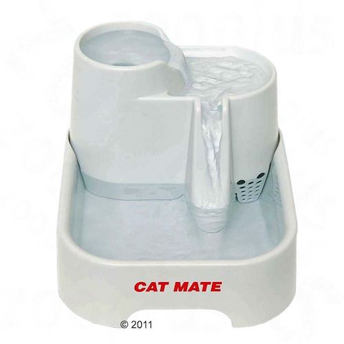 Fontaine à eau cat mate pour enrichir l'environnement du chat