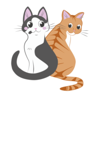 Féeline cat-sitting grenoble